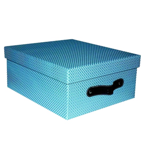 Caja Storage Multiusos grande color turquesa